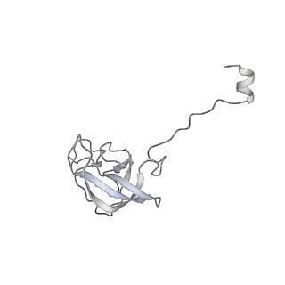 20052_6og7_Q_v1-1
70S termination complex with RF2 bound to the UGA codon. Non-rotated ribosome with RF2 bound (Structure II)