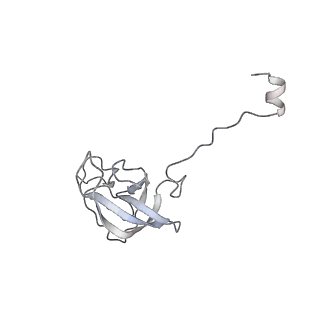 20052_6og7_Q_v1-2
70S termination complex with RF2 bound to the UGA codon. Non-rotated ribosome with RF2 bound (Structure II)