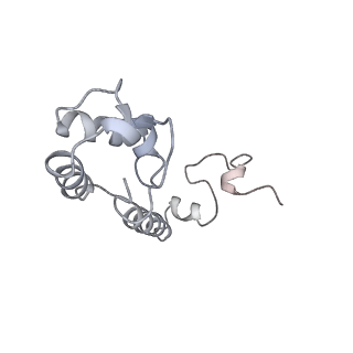 20052_6og7_R_v1-2
70S termination complex with RF2 bound to the UGA codon. Non-rotated ribosome with RF2 bound (Structure II)