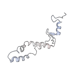 20052_6og7_S_v1-2
70S termination complex with RF2 bound to the UGA codon. Non-rotated ribosome with RF2 bound (Structure II)