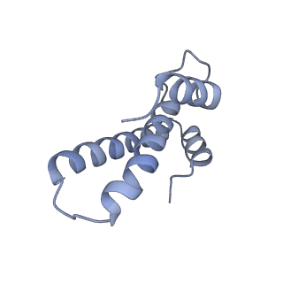 20052_6og7_T_v1-2
70S termination complex with RF2 bound to the UGA codon. Non-rotated ribosome with RF2 bound (Structure II)