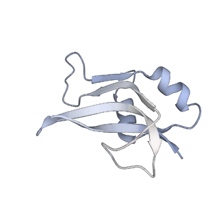 20052_6og7_U_v1-1
70S termination complex with RF2 bound to the UGA codon. Non-rotated ribosome with RF2 bound (Structure II)