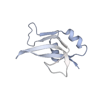 20052_6og7_U_v1-2
70S termination complex with RF2 bound to the UGA codon. Non-rotated ribosome with RF2 bound (Structure II)