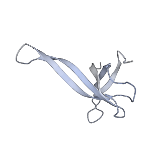 20052_6og7_V_v1-2
70S termination complex with RF2 bound to the UGA codon. Non-rotated ribosome with RF2 bound (Structure II)