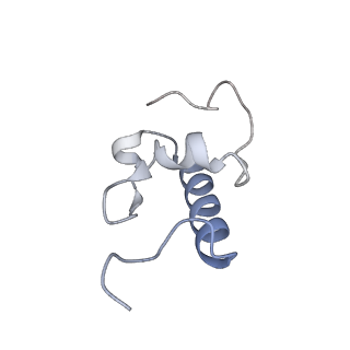 20052_6og7_W_v1-2
70S termination complex with RF2 bound to the UGA codon. Non-rotated ribosome with RF2 bound (Structure II)