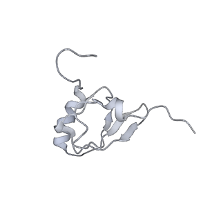 20052_6og7_X_v1-1
70S termination complex with RF2 bound to the UGA codon. Non-rotated ribosome with RF2 bound (Structure II)