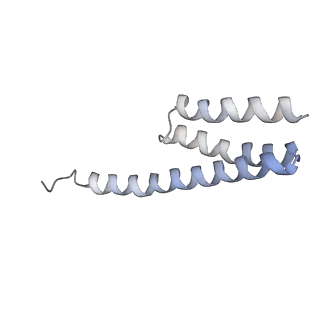 20052_6og7_Y_v1-2
70S termination complex with RF2 bound to the UGA codon. Non-rotated ribosome with RF2 bound (Structure II)