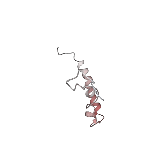 20052_6og7_Z_v1-1
70S termination complex with RF2 bound to the UGA codon. Non-rotated ribosome with RF2 bound (Structure II)