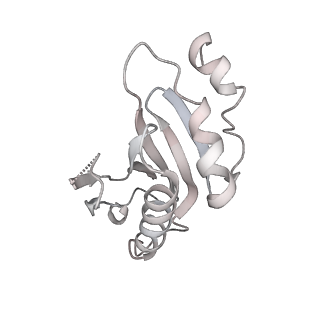 20052_6og7_a_v1-1
70S termination complex with RF2 bound to the UGA codon. Non-rotated ribosome with RF2 bound (Structure II)