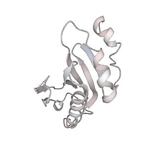 20052_6og7_a_v1-2
70S termination complex with RF2 bound to the UGA codon. Non-rotated ribosome with RF2 bound (Structure II)