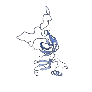 20052_6og7_c_v1-1
70S termination complex with RF2 bound to the UGA codon. Non-rotated ribosome with RF2 bound (Structure II)