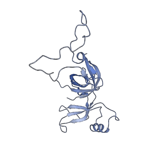 20052_6og7_c_v1-2
70S termination complex with RF2 bound to the UGA codon. Non-rotated ribosome with RF2 bound (Structure II)