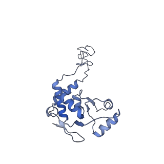 20052_6og7_d_v1-1
70S termination complex with RF2 bound to the UGA codon. Non-rotated ribosome with RF2 bound (Structure II)
