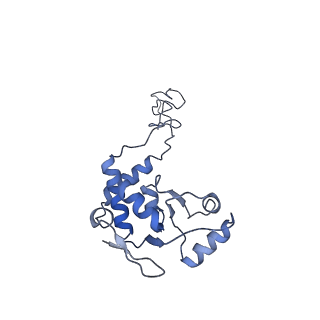 20052_6og7_d_v1-2
70S termination complex with RF2 bound to the UGA codon. Non-rotated ribosome with RF2 bound (Structure II)