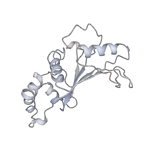 20052_6og7_e_v1-2
70S termination complex with RF2 bound to the UGA codon. Non-rotated ribosome with RF2 bound (Structure II)