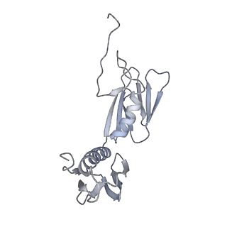 20052_6og7_f_v1-1
70S termination complex with RF2 bound to the UGA codon. Non-rotated ribosome with RF2 bound (Structure II)