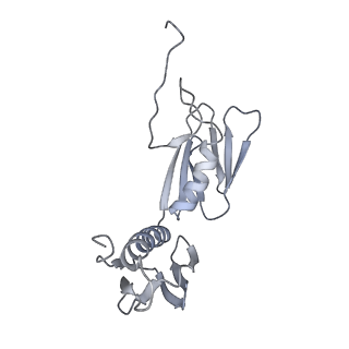 20052_6og7_f_v1-2
70S termination complex with RF2 bound to the UGA codon. Non-rotated ribosome with RF2 bound (Structure II)