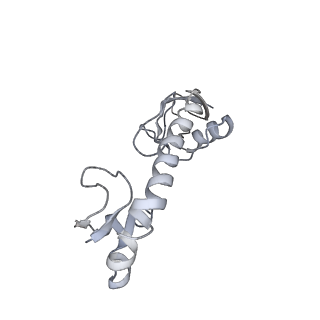 20052_6og7_g_v1-2
70S termination complex with RF2 bound to the UGA codon. Non-rotated ribosome with RF2 bound (Structure II)