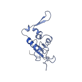 20052_6og7_j_v1-1
70S termination complex with RF2 bound to the UGA codon. Non-rotated ribosome with RF2 bound (Structure II)