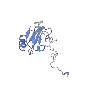 20052_6og7_l_v1-1
70S termination complex with RF2 bound to the UGA codon. Non-rotated ribosome with RF2 bound (Structure II)