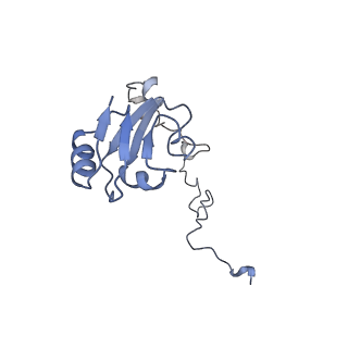 20052_6og7_l_v1-2
70S termination complex with RF2 bound to the UGA codon. Non-rotated ribosome with RF2 bound (Structure II)