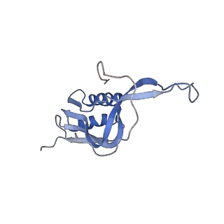 20052_6og7_m_v1-2
70S termination complex with RF2 bound to the UGA codon. Non-rotated ribosome with RF2 bound (Structure II)