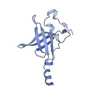 20052_6og7_p_v1-2
70S termination complex with RF2 bound to the UGA codon. Non-rotated ribosome with RF2 bound (Structure II)