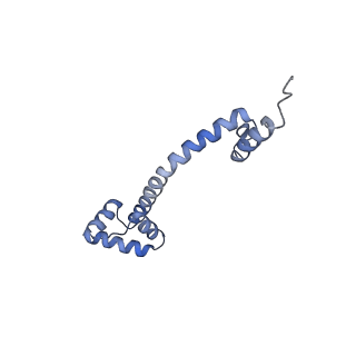 20052_6og7_q_v1-2
70S termination complex with RF2 bound to the UGA codon. Non-rotated ribosome with RF2 bound (Structure II)