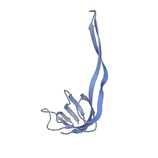 20052_6og7_r_v1-2
70S termination complex with RF2 bound to the UGA codon. Non-rotated ribosome with RF2 bound (Structure II)