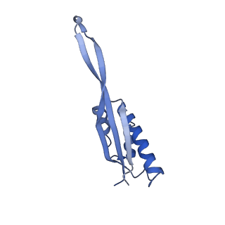 20052_6og7_s_v1-2
70S termination complex with RF2 bound to the UGA codon. Non-rotated ribosome with RF2 bound (Structure II)