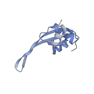 20052_6og7_t_v1-2
70S termination complex with RF2 bound to the UGA codon. Non-rotated ribosome with RF2 bound (Structure II)