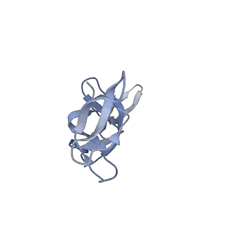 20052_6og7_u_v1-1
70S termination complex with RF2 bound to the UGA codon. Non-rotated ribosome with RF2 bound (Structure II)