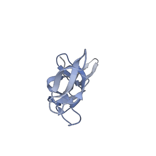 20052_6og7_u_v1-2
70S termination complex with RF2 bound to the UGA codon. Non-rotated ribosome with RF2 bound (Structure II)