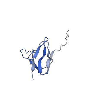 20052_6og7_w_v1-1
70S termination complex with RF2 bound to the UGA codon. Non-rotated ribosome with RF2 bound (Structure II)