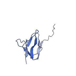 20052_6og7_w_v1-2
70S termination complex with RF2 bound to the UGA codon. Non-rotated ribosome with RF2 bound (Structure II)