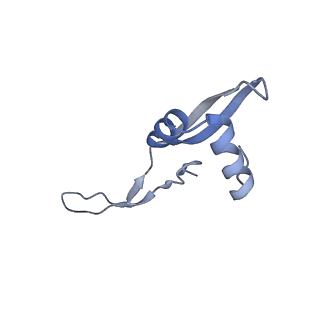 20052_6og7_x_v1-2
70S termination complex with RF2 bound to the UGA codon. Non-rotated ribosome with RF2 bound (Structure II)