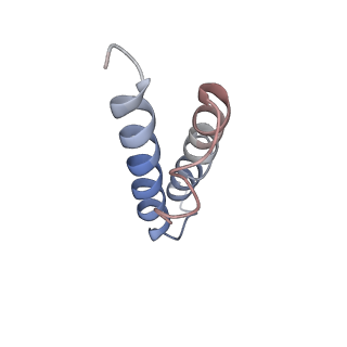 20052_6og7_y_v1-2
70S termination complex with RF2 bound to the UGA codon. Non-rotated ribosome with RF2 bound (Structure II)