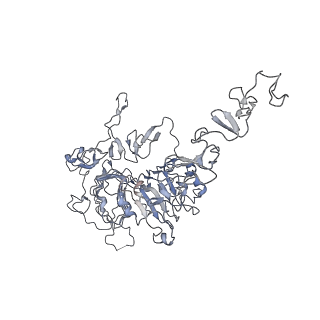 20055_6oge_A_v1-1
Cryo-EM structure of Her2 extracellular domain-Trastuzumab Fab-Pertuzumab Fab complex