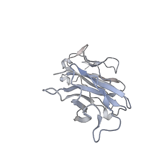 20055_6oge_B_v1-1
Cryo-EM structure of Her2 extracellular domain-Trastuzumab Fab-Pertuzumab Fab complex