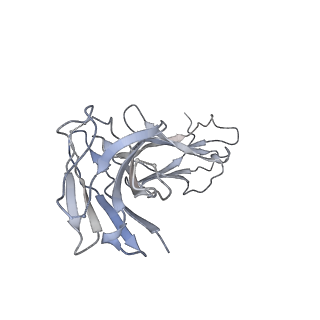 20055_6oge_C_v1-1
Cryo-EM structure of Her2 extracellular domain-Trastuzumab Fab-Pertuzumab Fab complex