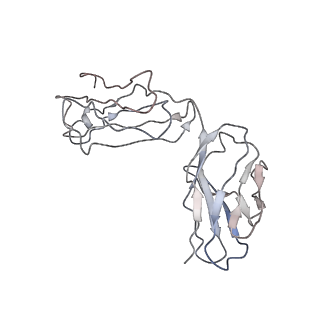 20055_6oge_D_v1-1
Cryo-EM structure of Her2 extracellular domain-Trastuzumab Fab-Pertuzumab Fab complex