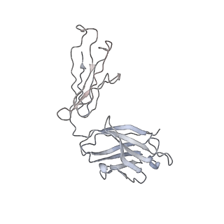 20055_6oge_E_v1-1
Cryo-EM structure of Her2 extracellular domain-Trastuzumab Fab-Pertuzumab Fab complex