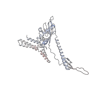 20056_6ogf_8_v1-1
70S termination complex with RF2 bound to the UGA codon. Partially rotated ribosome with RF2 bound (Structure III).