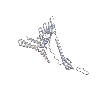 20056_6ogf_8_v1-2
70S termination complex with RF2 bound to the UGA codon. Partially rotated ribosome with RF2 bound (Structure III).