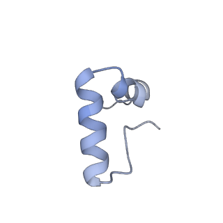 20056_6ogf_D_v1-1
70S termination complex with RF2 bound to the UGA codon. Partially rotated ribosome with RF2 bound (Structure III).