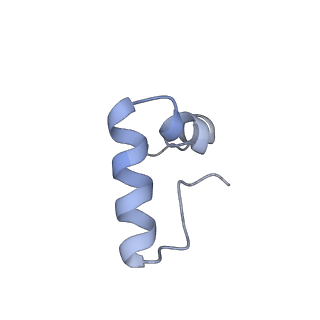 20056_6ogf_D_v1-2
70S termination complex with RF2 bound to the UGA codon. Partially rotated ribosome with RF2 bound (Structure III).