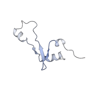 20056_6ogf_E_v1-2
70S termination complex with RF2 bound to the UGA codon. Partially rotated ribosome with RF2 bound (Structure III).