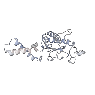 20056_6ogf_G_v1-2
70S termination complex with RF2 bound to the UGA codon. Partially rotated ribosome with RF2 bound (Structure III).