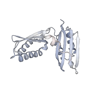 20056_6ogf_H_v1-2
70S termination complex with RF2 bound to the UGA codon. Partially rotated ribosome with RF2 bound (Structure III).