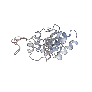 20056_6ogf_I_v1-1
70S termination complex with RF2 bound to the UGA codon. Partially rotated ribosome with RF2 bound (Structure III).